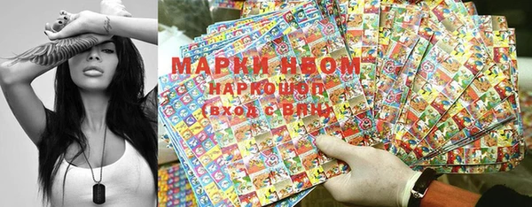 сатива Алексеевка